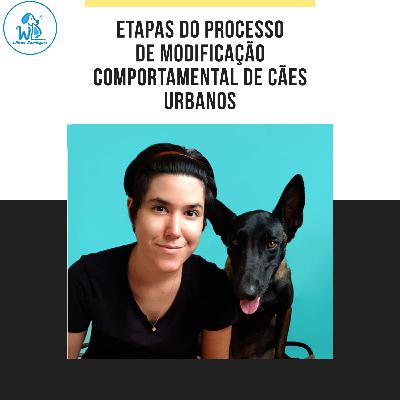 Etapas para a solução de problemas comportamentais de cães urbanos - com @caovivendo Etapas para a solução de problemas comportamentais de cães urbanos - com @caovivendo