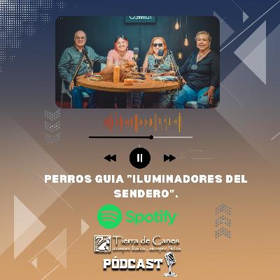 Perros Guia "Iluminadores del sendero".