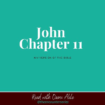 John 11 NIV read by Osaru Alile