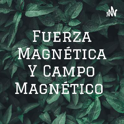 Fuerza magnética y campo magnético