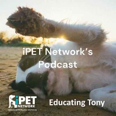 iPET Network Educating Tony - Rebecca Walters - Getting your puppy ready for grooming
