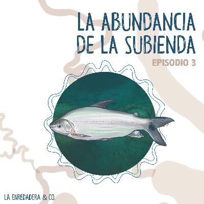 La abundancia de la subienda