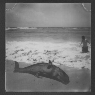 PassionPresents: Instant Friends @polaroidemoji @a.polaroidist @patspolaroidz