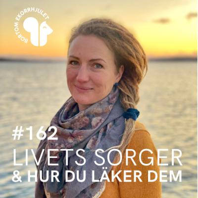 162. Livets sorger och hur du läker dem 162. Livets sorger och hur du läker dem
