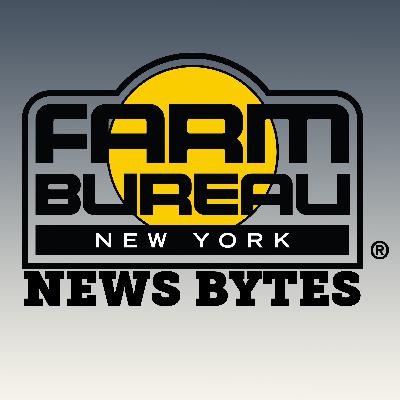 #1: Interview with Jeff Williams on NYFB's 2024 Priority Issues - 02-01-2024