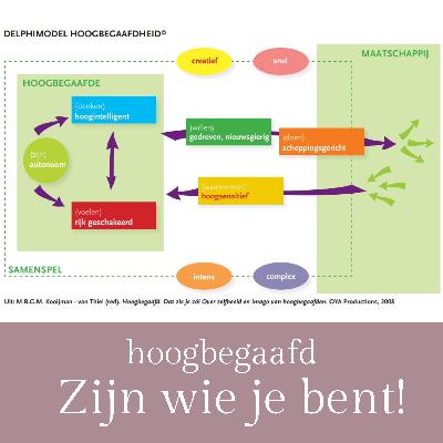 5.Delphimodel Hoogbegaafdheid 5.Delphimodel Hoogbegaafdheid