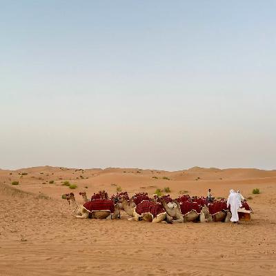 EP10 城市散步指南-阿布扎比，沙漠酒店，卢浮宫与达芬奇