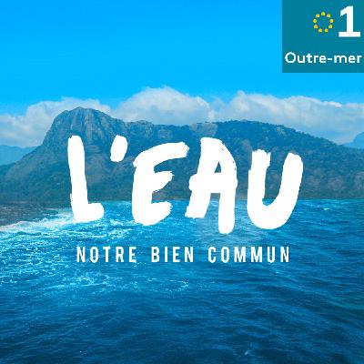 L'eau, notre bien commun du 10/11/2025 L'eau, notre bien commun du 10/11/2025