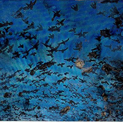 CANTICO Mariano Bortolotti, Poesie - Osvaldo Negra, protezione dell'avifauna CANTICO Mariano Bortolotti, Poesie - Osvaldo Negra, protezione dell'avifauna