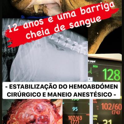 12 anos e uma barriga cheia de sangue