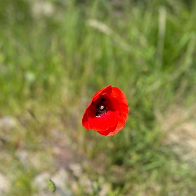 Joany Muskiet: Liefde vinden en hemelburger zijn Joany Muskiet: Liefde vinden en hemelburger zijn