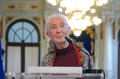 La hora rándom: La humanidad de Jane Goodall y otros animales