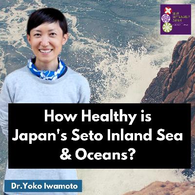 How healthy is Japan's Seto Inland Sea and Oceans? | Dr. Yoko Iwamoto