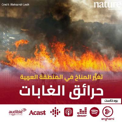 تغير المناخ في المنطقة العربية: حرائق الغابات