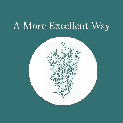 A More Excellent Way