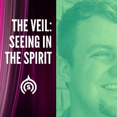The Veil: Seeing in the Spirit | Blake Healy The Veil: Seeing in the Spirit | Blake Healy