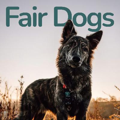 3. Milena über schwere Zeiten mit Hund und Glücksrezepte 3. Milena über schwere Zeiten mit Hund und Glücksrezepte