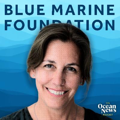 How Much Will It Cost to SAVE Our Oceans - The Ocean News Podcast