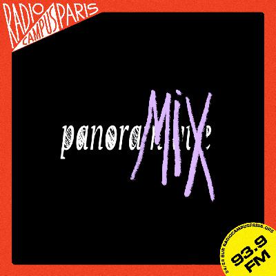 Klaus Nomi sur grand écran