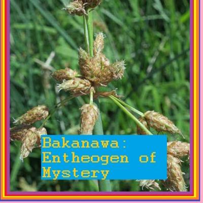 Bakanawa: Psychedelic Plant of Mystery