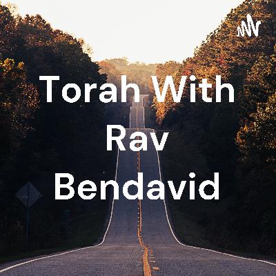 Rambam Yomi - Laws of Shemitah ch 5+6 - The Mitzvah to Eat 7th Year Fruit