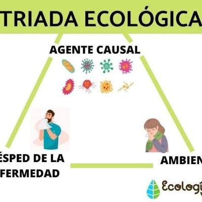 Triada Ecológica