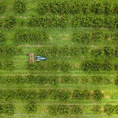 Aid for farmers, but not from tariffs