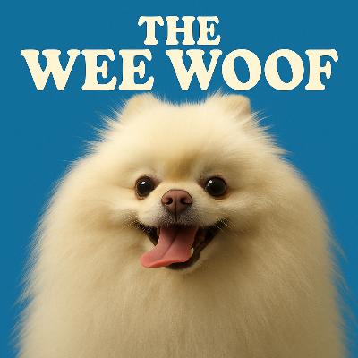 Chin Up! Your Ultimate Guide to Japanese Chin Ownership