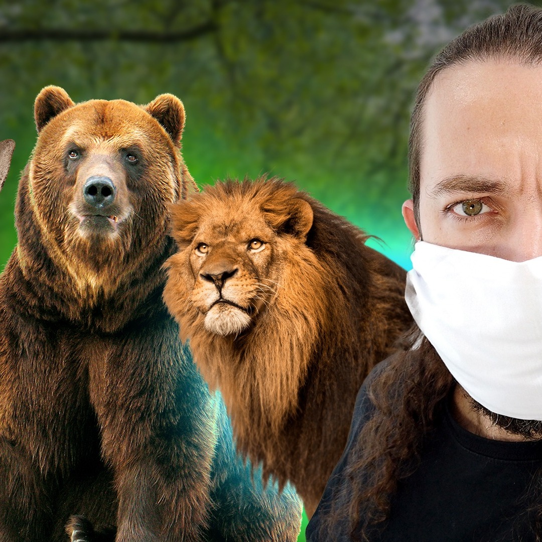 Sem dinheiro, zoológico poderá matar animais episode artwork