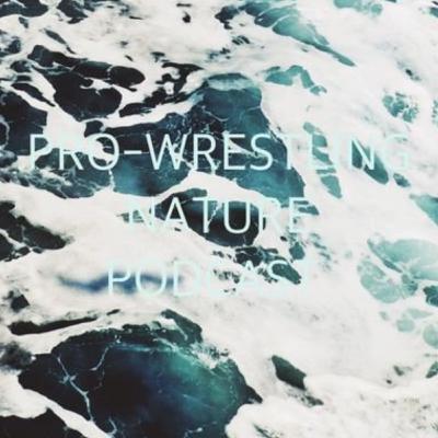 PRO-WRESTLING NATURE53 ブシロードの現在地・新日本プロレスの未来 PRO-WRESTLING NATURE53 ブシロードの現在地・新日本プロレスの未来