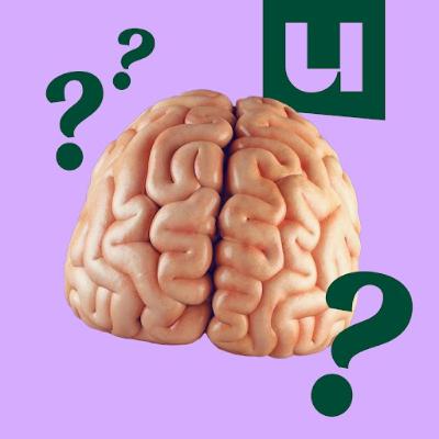 Ik&Geluk | Kan je succes afdwingen of is het puur geluk? Ik&Geluk | Kan je succes afdwingen of is het puur geluk?