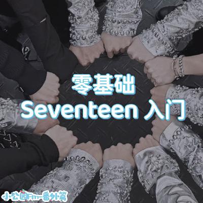 番外篇-零基础Seventeen入门