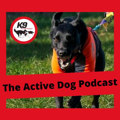 Episode 16: Canicrossing a dog with a condition