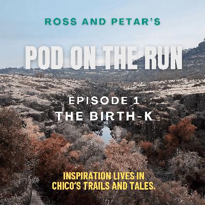The Birth-K The Birth-K
