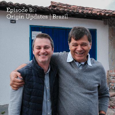 Origin Updates | Brazil Origin Updates | Brazil