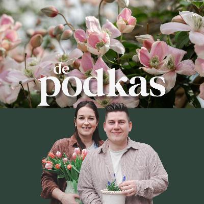 Klimplanten in de tuin | Welke planten zijn geschikt voor je gevel? - De Podkas #S3E12