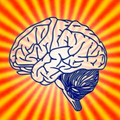 Fun Facts About Your Brain ~ Super Stretch Chair Yoga For Teenagers