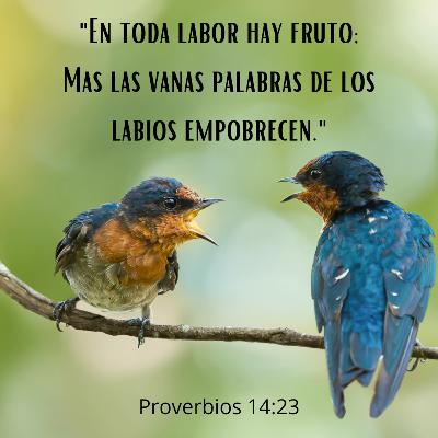 47 - Joyas de Sabiduría - "Menos palabras y más acción" [Proverbios 14:23]