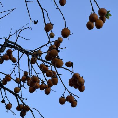 Vol.45|Mixtape:秋天的天空有一种独特的蓝色。 Vol.45|Mixtape:秋天的天空有一种独特的蓝色。