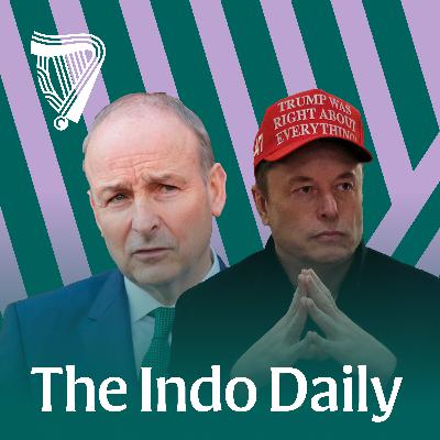 Between Grok and a hard place: Pressure on Micheál Martin to hold golden tech goose to account