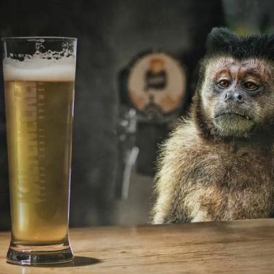 Paul Moulinet #66 Paul Moulinet #66