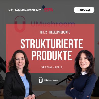 Hebelprodukte erklärt