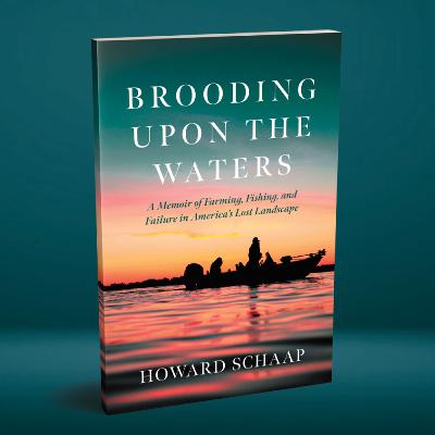 #35: Book Launch Event for "Brooding Upon the Waters"