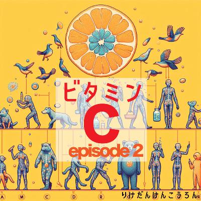 【#2−2 ビタミンC】えっ！1円で10日分のビタミンCを！？コスパ最強の摂取方法教えます