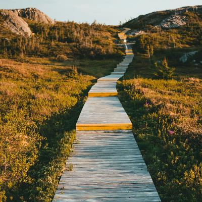 Sermon25:  29Jun25 'Against triumphalism', by Pastor Rev. Andy Willis
