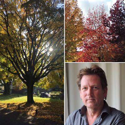 Erik Zwiers, initiatiefnemer Participatiekoren Erik Zwiers, initiatiefnemer Participatiekoren