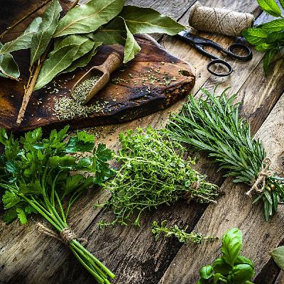 Utiliser les herbes aromatiques fraîches, c’est maintenant !