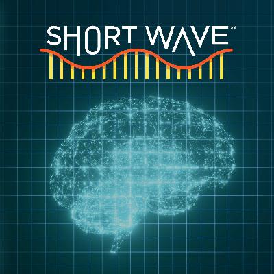 Mental ‘Workouts’ Could Keep Your Brain Young