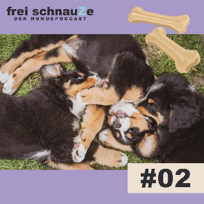 Der Flexileinen Skandal