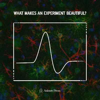 What Makes an Experiment Beautiful?